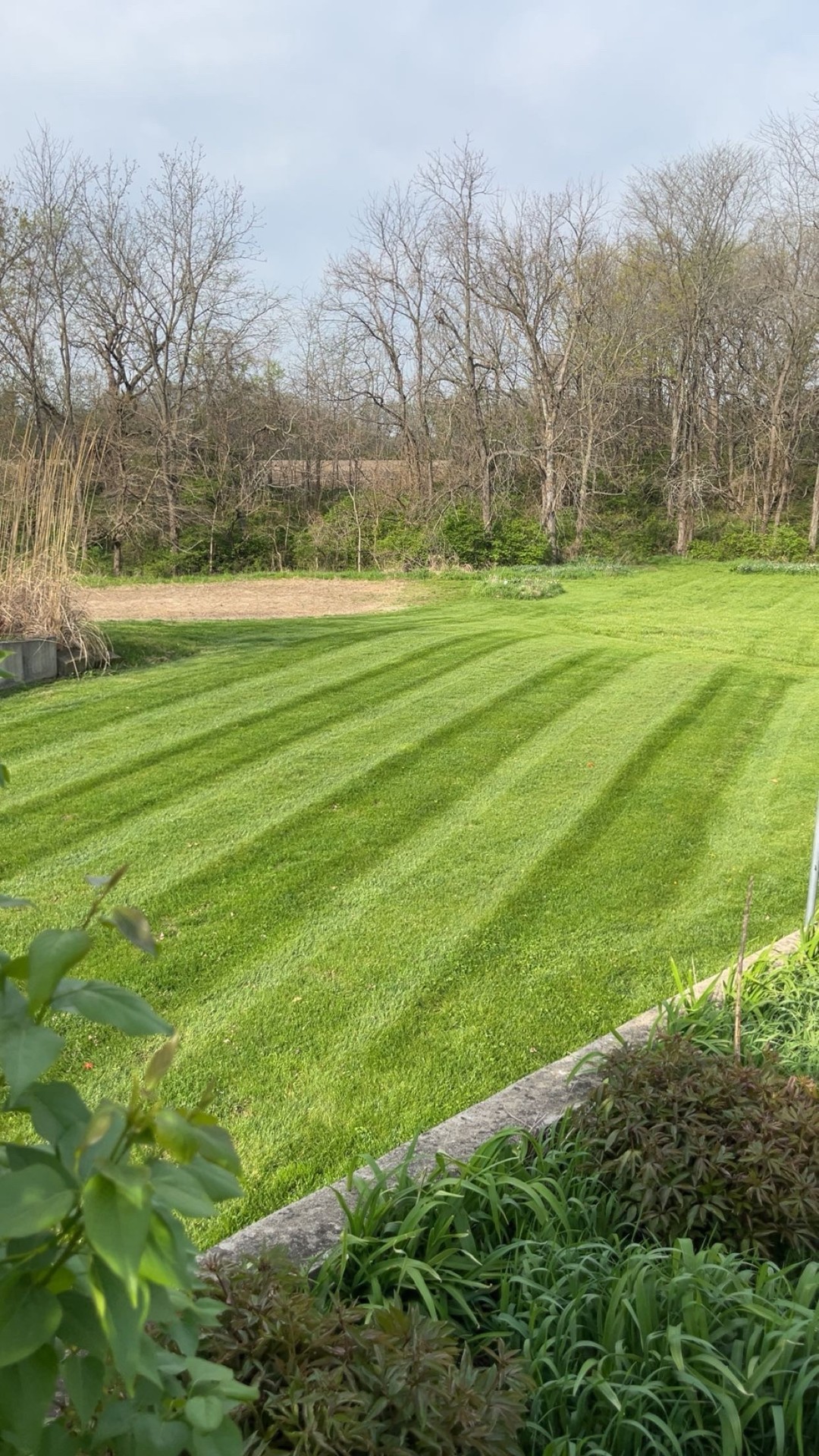 Crisp mowing stripes across a backyard lawn