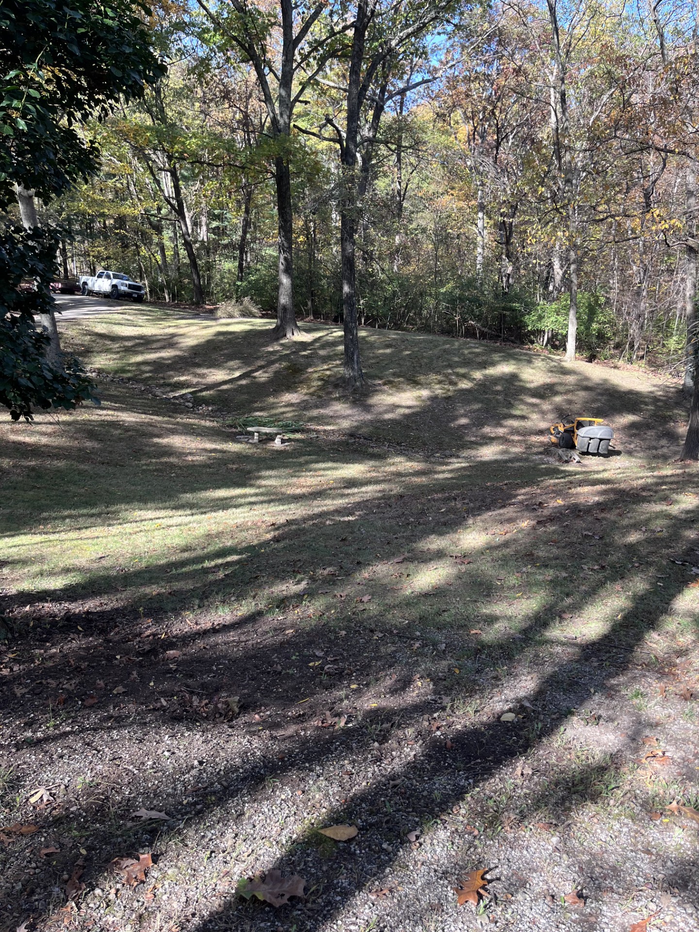 Mowed wooded lot with leaf cleanup in progress