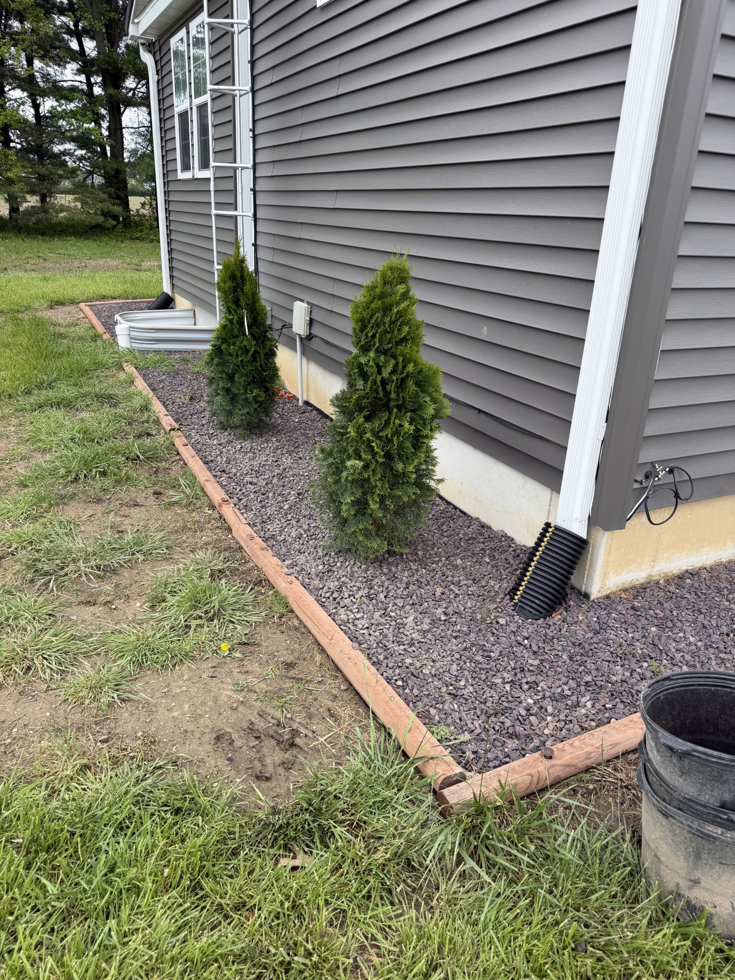 Fresh landscape bed with arborvitae and stone mulch